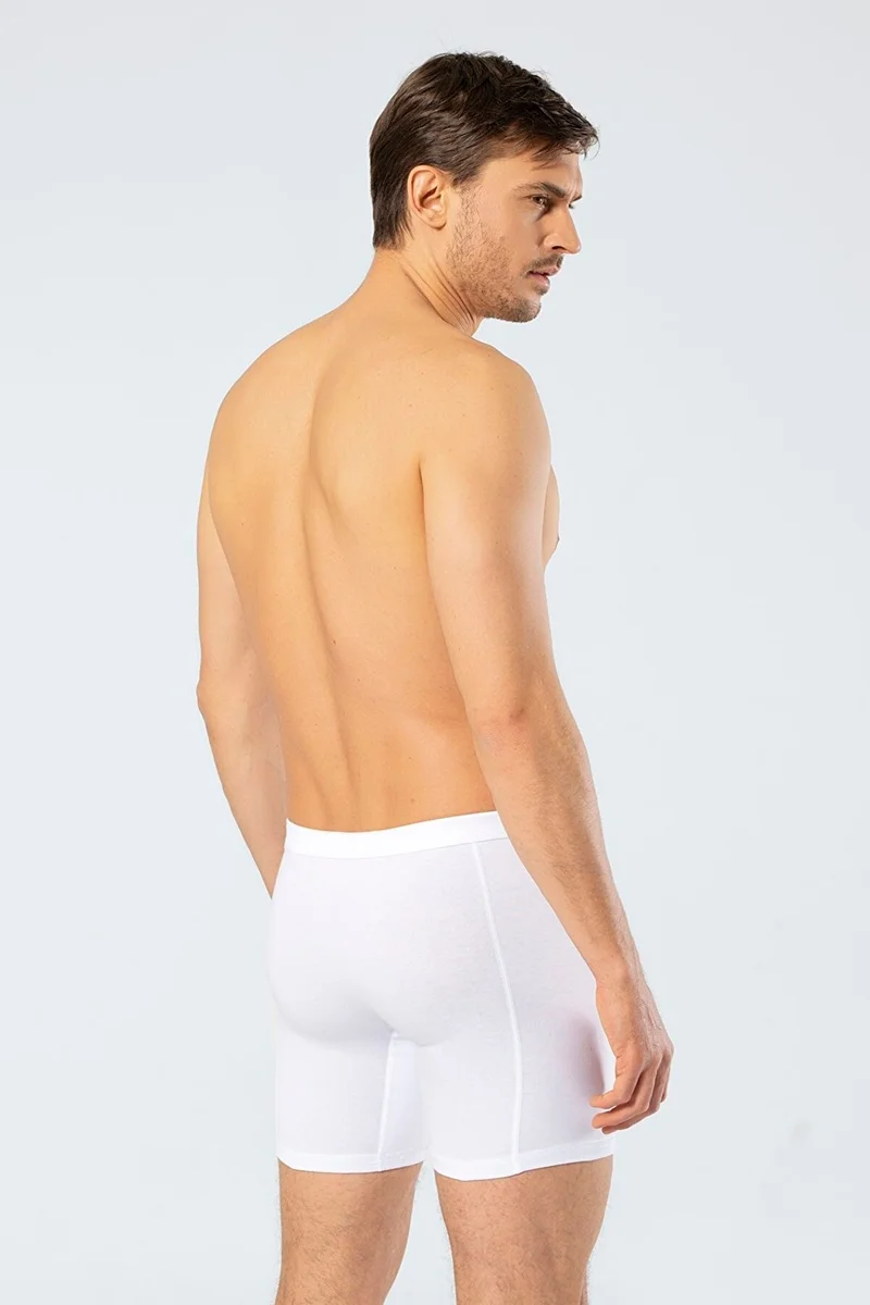 يو اس بولو اسن Cotton Lycra Waistband Long Men's Boxers