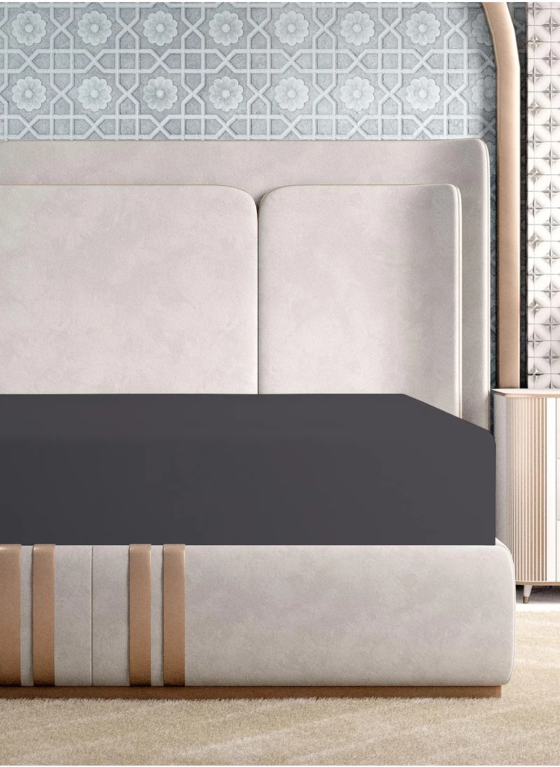 حس اللون Solid 1 Fitted Sheet Super King Cotton Dk Grey 205x200cm