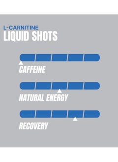 ProSupps L-Carnitine 3000 Liquid Shots - Blue Razz - (473 ml)  - Image 2