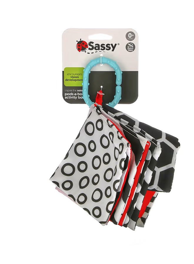 ساسي كتاب الأنشطة Inspire The SensesPeek-A-Boo0+ أشهر1 عدد