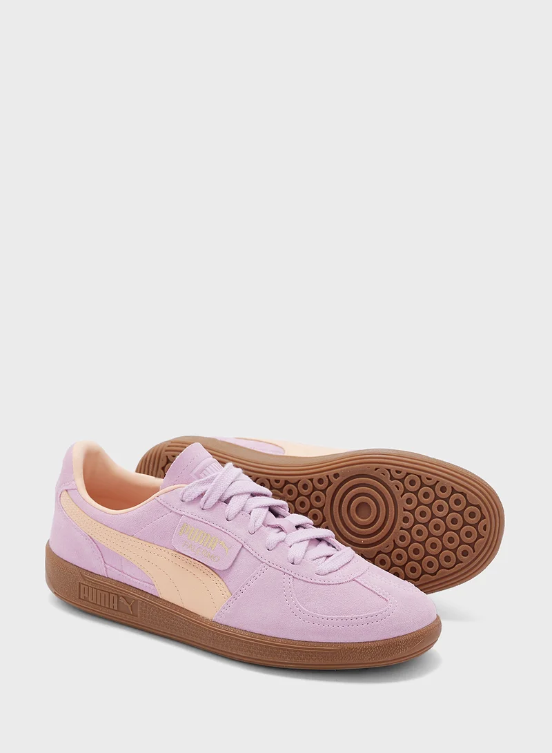 PUMA Palermo
