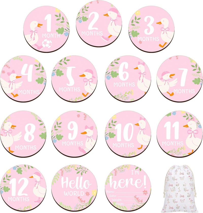 Al Raied ARS® 7 Pack One Silly Goose Baby Shower Monthly Milestone Cards - Image 1