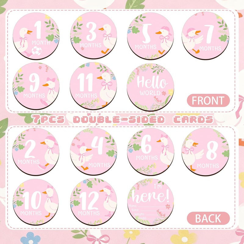 Al Raied ARS® 7 Pack One Silly Goose Baby Shower Monthly Milestone Cards - Image 3
