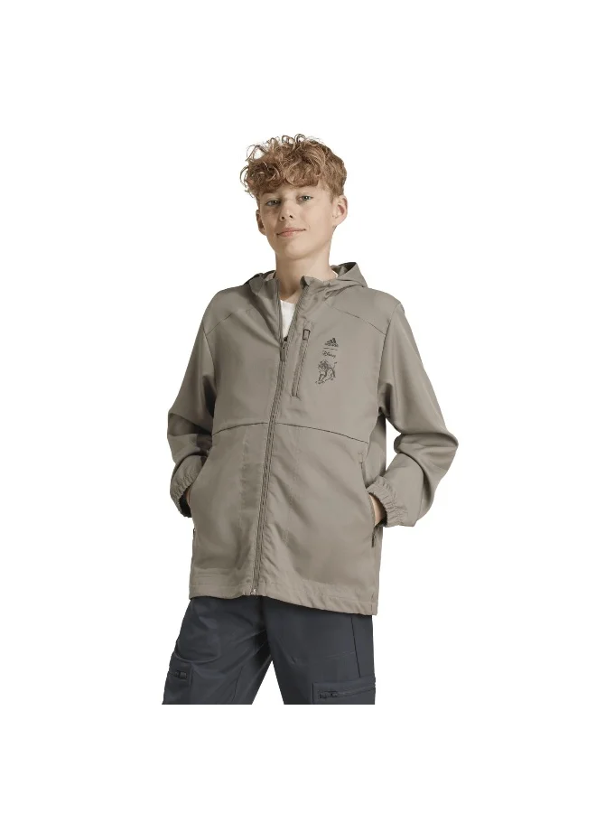 Adidas J Dy Lk Tt Brown Training Jackets 7-8Y