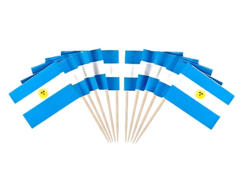 JAVD CYPS 100 Pcs Argentina Flag Argentine Toothpick Flags Small Mini Stick Cupcake Toppers Argentine FlagsCountry Picks Party Decoration Celebration Cocktail Food Bar Cake Flags - Image 3