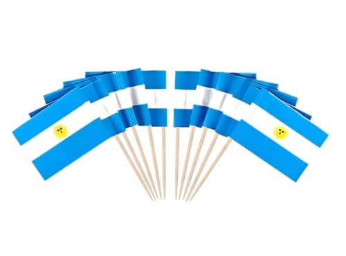 JAVD CYPS 100 Pcs Argentina Flag Argentine Toothpick Flags Small Mini Stick Cupcake Toppers Argentine FlagsCountry Picks Party Decoration Celebration Cocktail Food Bar Cake Flags - Image 2