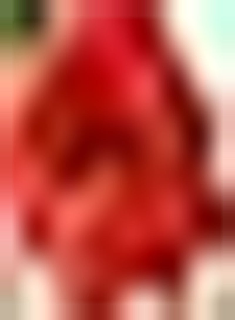 GGOOT 2pcs Red Amaryllis Seeds Long Economic Life Good Ecological Effect Decorate Flower Beds and Borders Window Boxes Hanging Baskets - Image 1