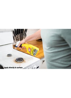 GOOF OFF Goof Off Power Cleaner Degreaser32OZ  - Image 5