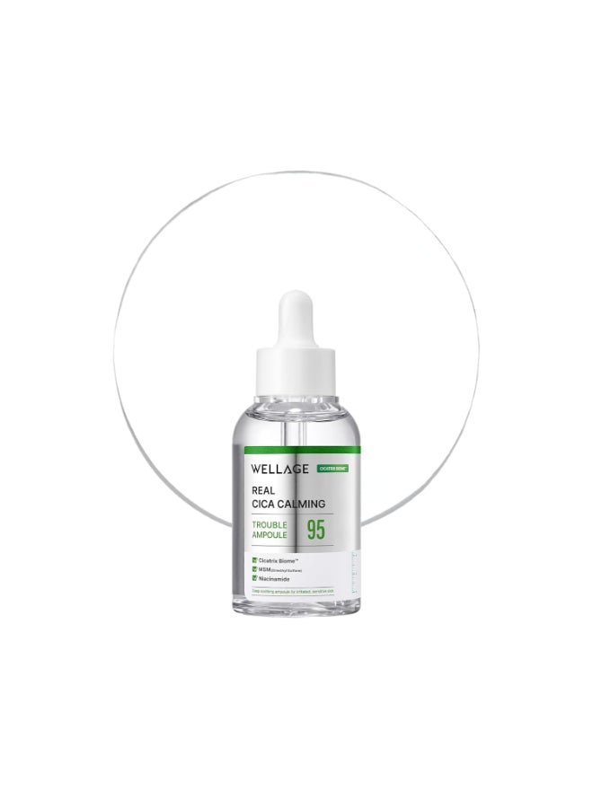 Wellage Real Cica Calming 95 Ampoule - Image 1