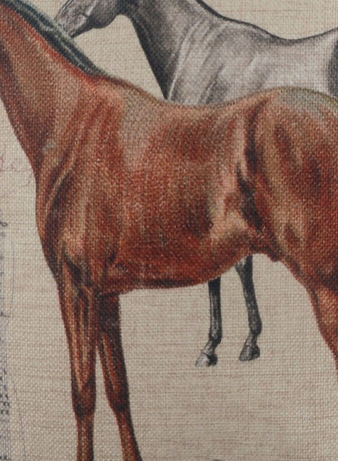 LINKWELL Horse Pillow Cover 18x18, Farmhouse Western Decorative Pillow Cover, Shabby Chic Equestrian Decor Throw Cushion Pillowcase for Sofa Couch CC1456 - Image 2