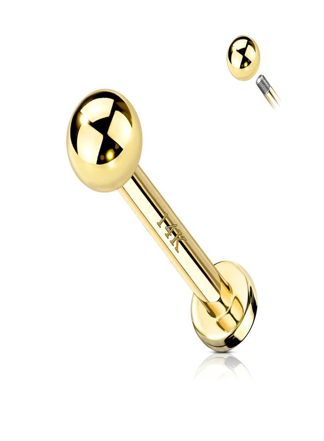 COCHARM 14k Real Gold 16g Labret Stud, Solid Gold Medusa Monroe Stud 14k Yellow Madonna Piercing 14kt Ball Lip Labret Piercing Jewelry 8mm Helix Cartilage Conch Jewelry - Image 1