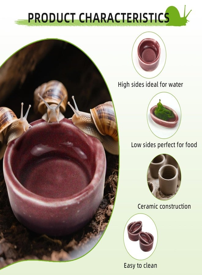4 Pack Snails Feeding Dish Set for Land Snails, Snail Food and Water Bowl - Calcium Food Bowl & Water Tray, Mini Pet Supplies, Durable Snail Tiny Pet Dishes - Image 3