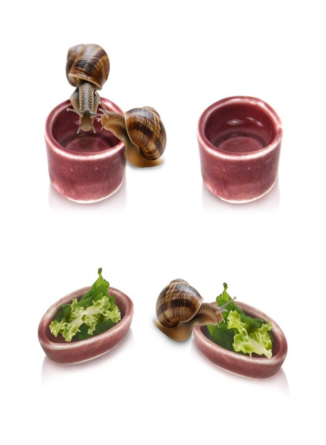 4 Pack Snails Feeding Dish Set for Land Snails, Snail Food and Water Bowl - Calcium Food Bowl & Water Tray, Mini Pet Supplies, Durable Snail Tiny Pet Dishes - Image 1
