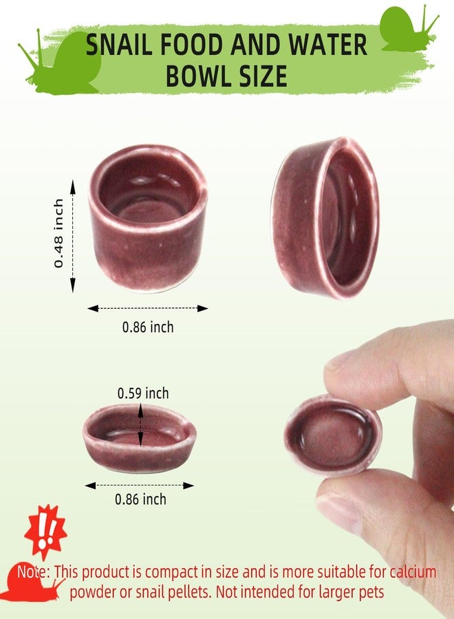4 Pack Snails Feeding Dish Set for Land Snails, Snail Food and Water Bowl - Calcium Food Bowl & Water Tray, Mini Pet Supplies, Durable Snail Tiny Pet Dishes - Image 2