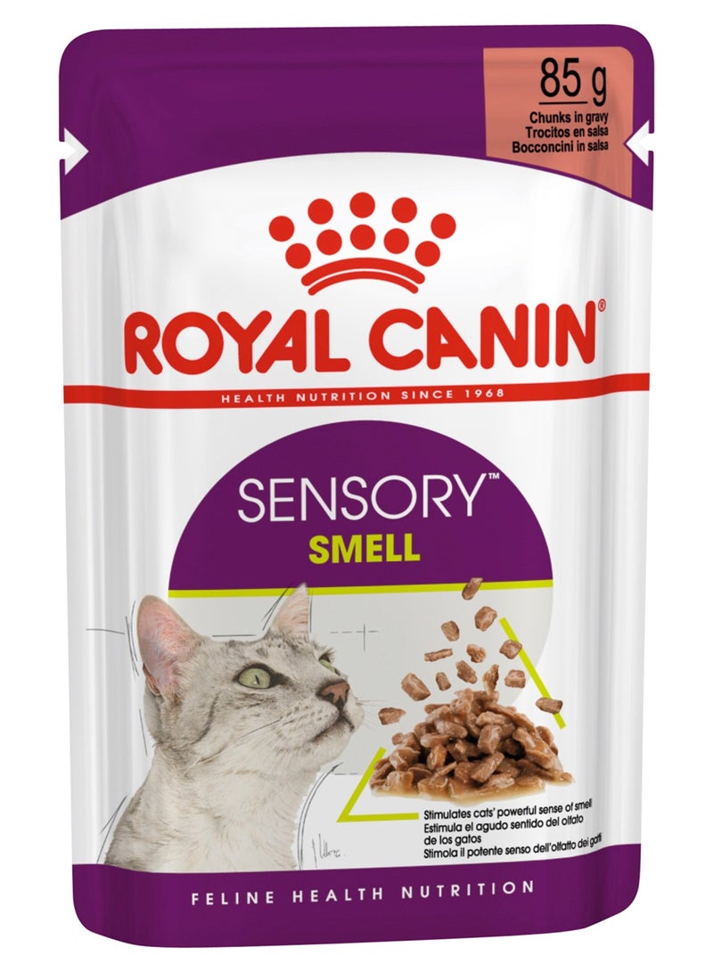 ROYAL CANIN Sensory Smell Chunks in Gravy Cat Wet Food 12x85g - Image 2