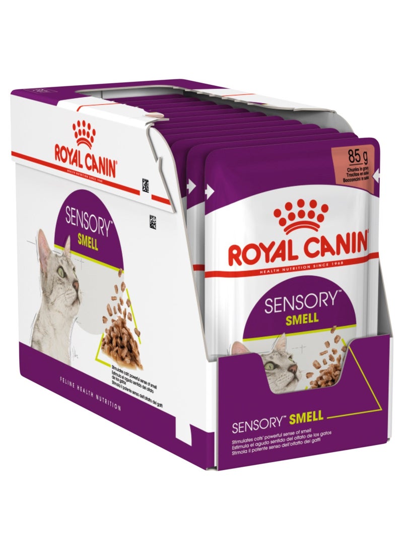 ROYAL CANIN Sensory Smell Chunks in Gravy Cat Wet Food 12x85g - Image 1