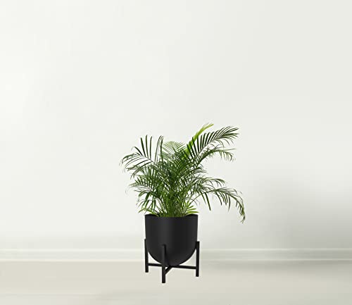 Olly & Rose Plant Pot with Plant Stand - Metal Plant Pots Indoor Planter 22cm Large Flower Pot (Black) - Image 2