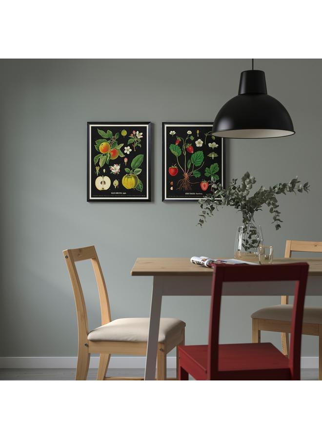 زبون إطار مع ملصق، مخططات فواكه نباتية قديمة، 40×50 سم - Image 4