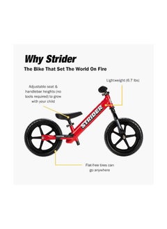 STRIDER Strider 12” Sport Bike - No Pedal Balance Bicycle for Kids 18 Months to 5 Years - Includes Safety Pad, Padded Seat, Mini Grips & Flat-Free Tires - Tool-Free Assembly & Adjustments  - Image 2