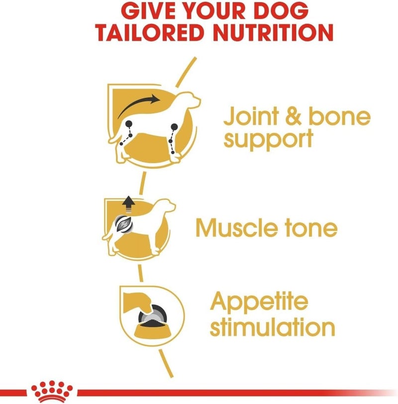 Royal Canin BHN Dachshund Adult Wet Food Pouches Box of 12x85g Breed Health Nutrition Dog Food - Image 5