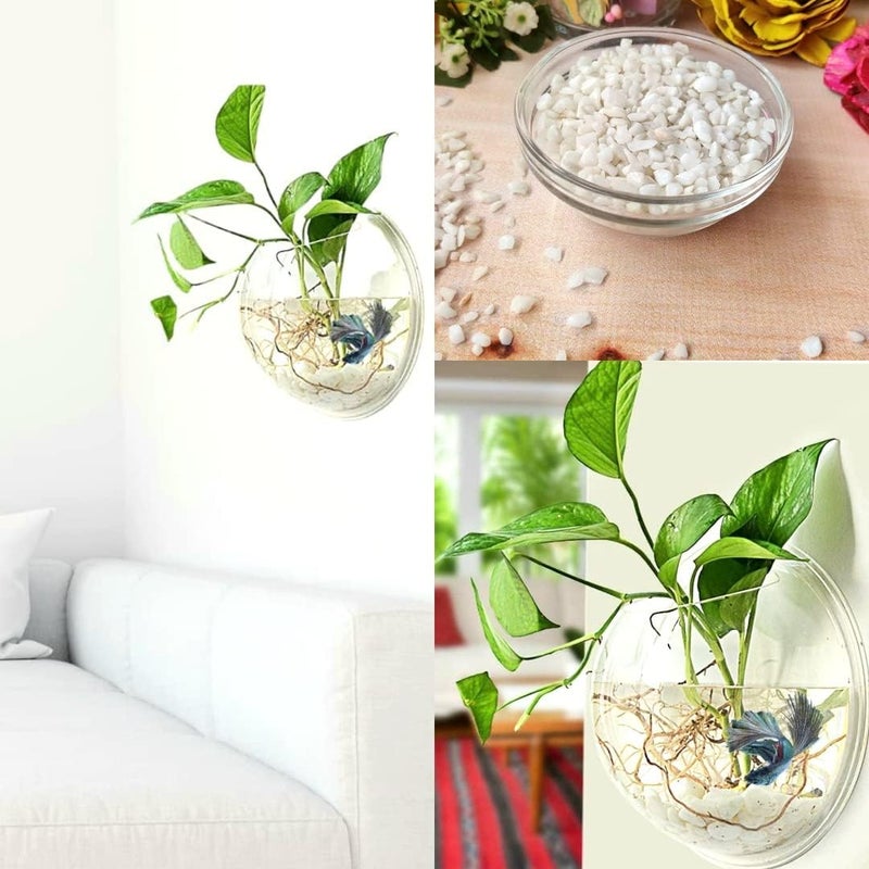 VAYINATO ® 9 Inch Wall Hanging Mounted Aquaruim Fish Bowl Betta Tank Stylish Home Decoration with White Pebbles Gravel Stone by Petzlifeworld - Image 3