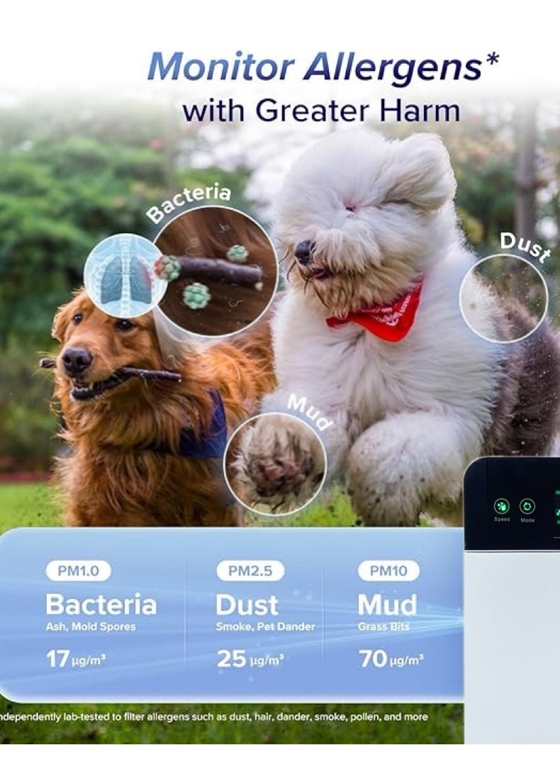 AiQi - Air Purifier for Home, Office & Large Spaces, Smart PM2.5 Detection, Displays Air Quality, Whisper quiet Sleep Mode (20dB), Timer Function. 2X Purification, 360° Air Outflow. Eliminates Dust, Allergens, Odors, Pollen, Pet Fur, Filters Formaldehyde and Microorganisms. Safe for Pets and Babies - Image 1