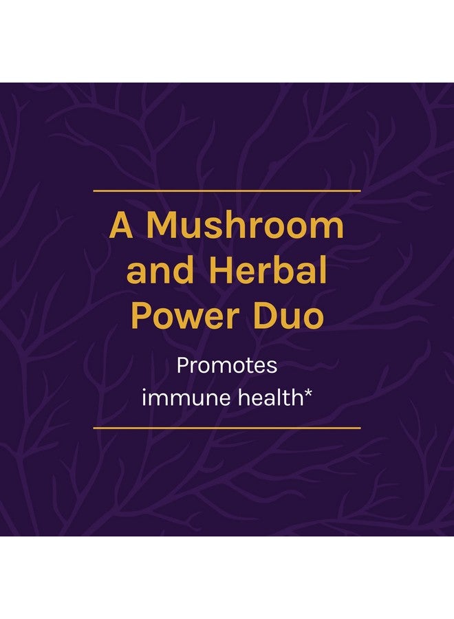 Host Defense Mycobotanicals Brain & Body Powder Support For Brain Heart And Digestive Health Mushroom Supplement Plain 3.5 Ounce (Pack Of 1) - Image 4