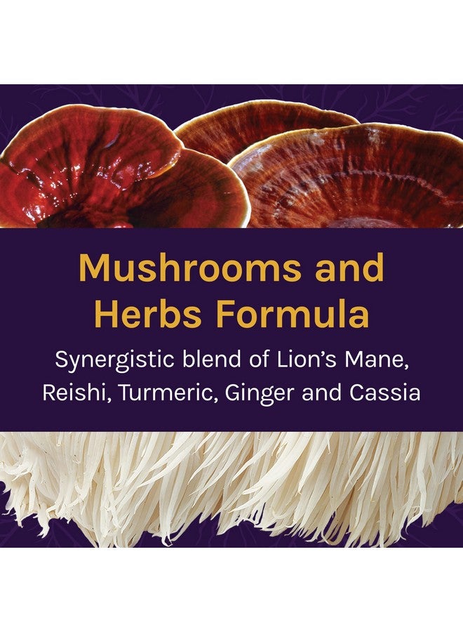 Host Defense Mycobotanicals Brain & Body Powder Support For Brain Heart And Digestive Health Mushroom Supplement Plain 3.5 Ounce (Pack Of 1) - Image 3