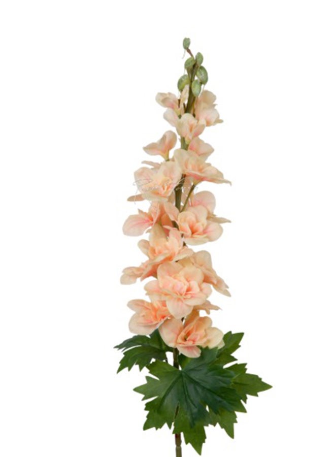 HRT WALL Delphinium small - peach 