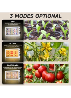 SYOSI Full Spectrum LED Plant Growing Light, Grow Light for Indoor Plants, Adjustable 2000W LED Grow Light for Seed Starting, Vegetable and Flower  - Image 5