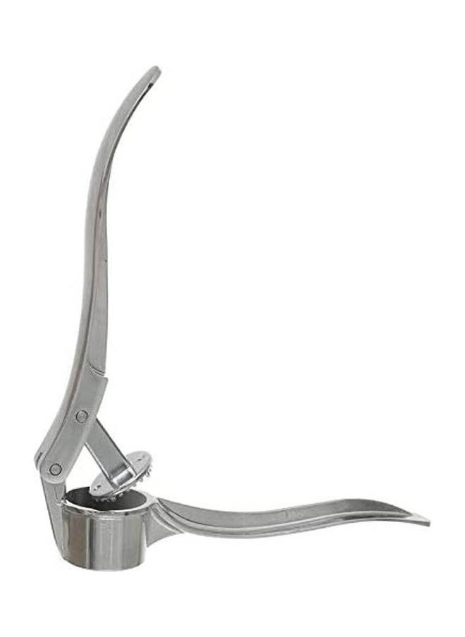 Generic Stainless Steel Garlic Presse Silver 