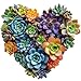 Mys Aurora Jigsaw Puzzles300 Pieces Heart Succulent Wooden Puzzles for Adults Unique Shaped Plant PuzzlesBrain Teaser Family Flower Puzzle Game 132 x 126 Inch - Image 2