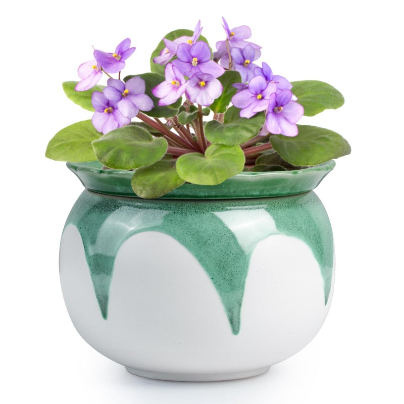 Buymax African Violet Pots  6 Inch Ceramic Easy Self Watering Plant Pot For Busy Plant Lovers  Automatically Absorb Appropriate Amount Of Water  Flower Pot Indoor-Plants Not Included(Green) - Image 1