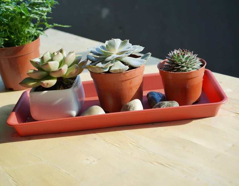VUWEZ 2 Pack Plastic Plant Trays - Rectangular 17 18 inch, Indoor/Outdoor Plant Water Drip Trays for Flower Planters, Windowsill (7.8 x 17.5'', Terracotta) - Image 3