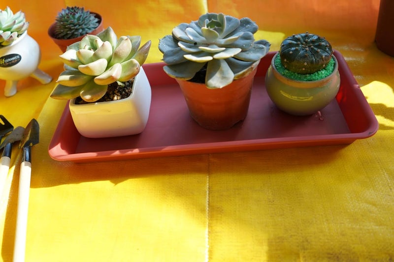 VUWEZ 2 Pack Plastic Plant Trays - Rectangular 17 18 inch, Indoor/Outdoor Plant Water Drip Trays for Flower Planters, Windowsill (7.8 x 17.5'', Terracotta) - Image 5
