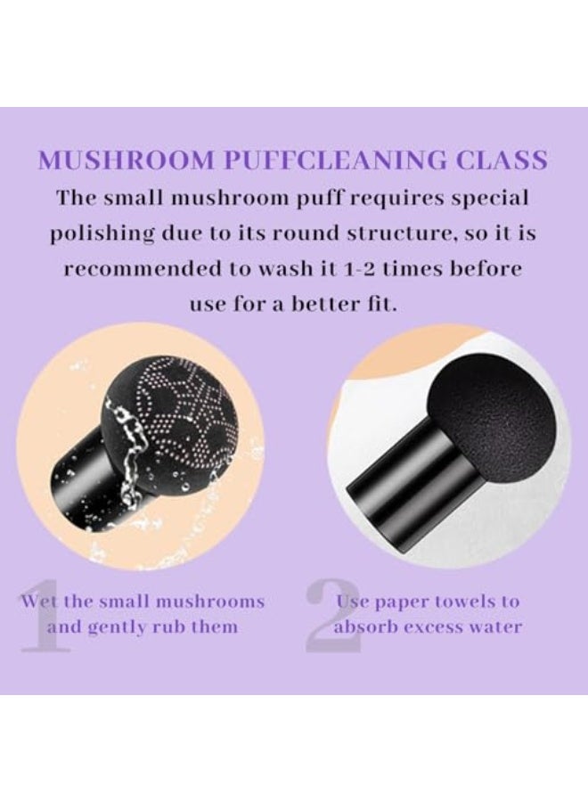 EELHOE Air Cushion Foundation, Serentia Cream Flawless Radiant Skin Instantly, Serenita BB Cream Korean, Weightless Air Dry CC Creams, Glass Skin Korean Coverage Foundation, Moisturizing, Long Lasting Waterproof Matte - Image 5