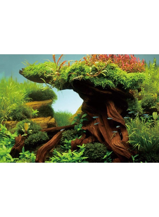 AWERT 48x24 inches Wood Fish Tank Background Seaweed Aquarium Background River Bed & Lake Aquarium Background Vinyl Background - Image 1
