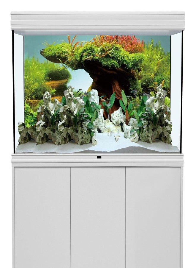 AWERT 48x24 inches Wood Fish Tank Background Seaweed Aquarium Background River Bed & Lake Aquarium Background Vinyl Background - Image 2