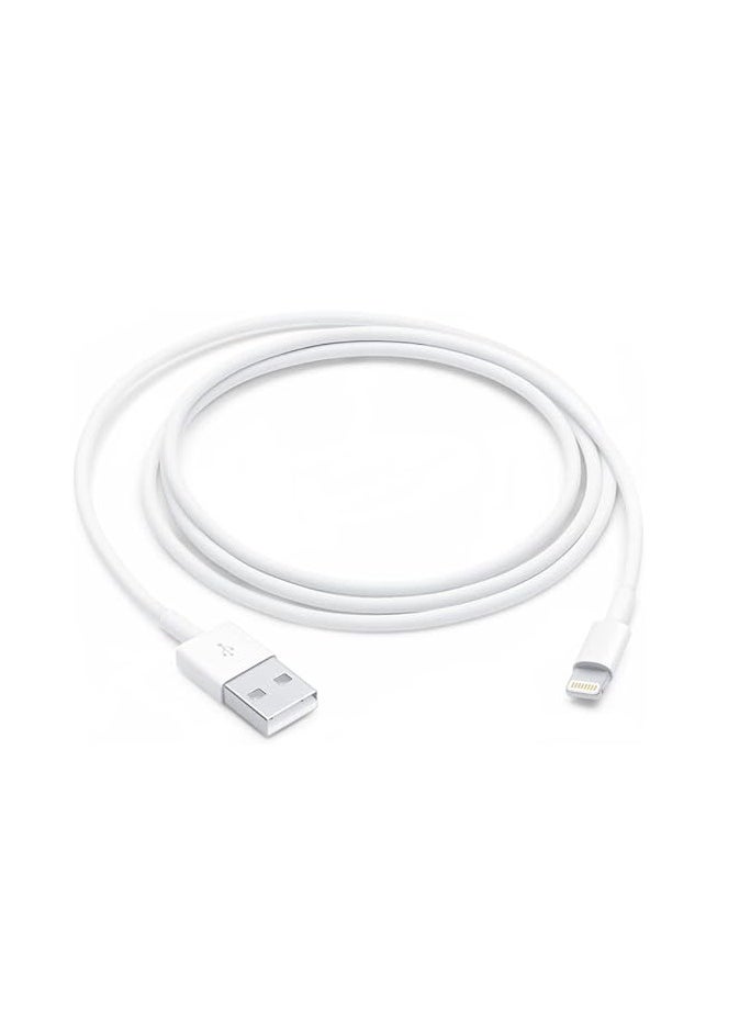 Spaceshoop Charging Data Cable For All iPhone Devices 