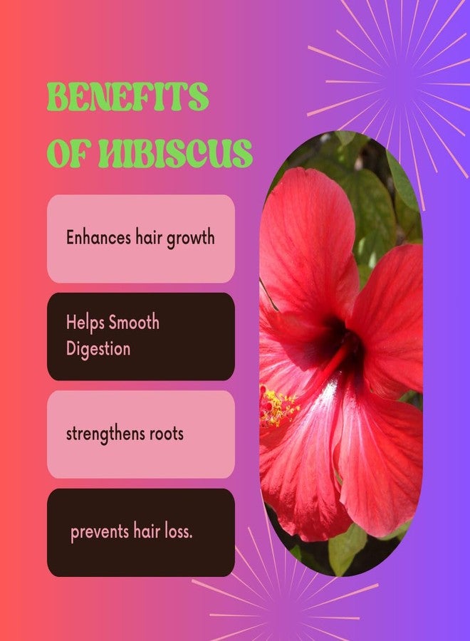 Shree Beauty Hibiscus Shampoo - 200ml | Enriched with Hibiscus Extracts to Soften Hair, Reduce Hair Fall, Control Dandruff and Split Ends | Herbal Shampoo for All Hair Types | Ideal for Men and Women - Image 3