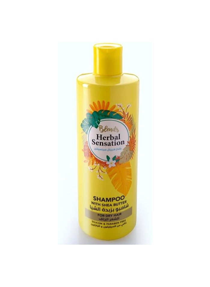 Blends - Herbal Sensation Shampoo With Shea Butter 850ml - Image 1