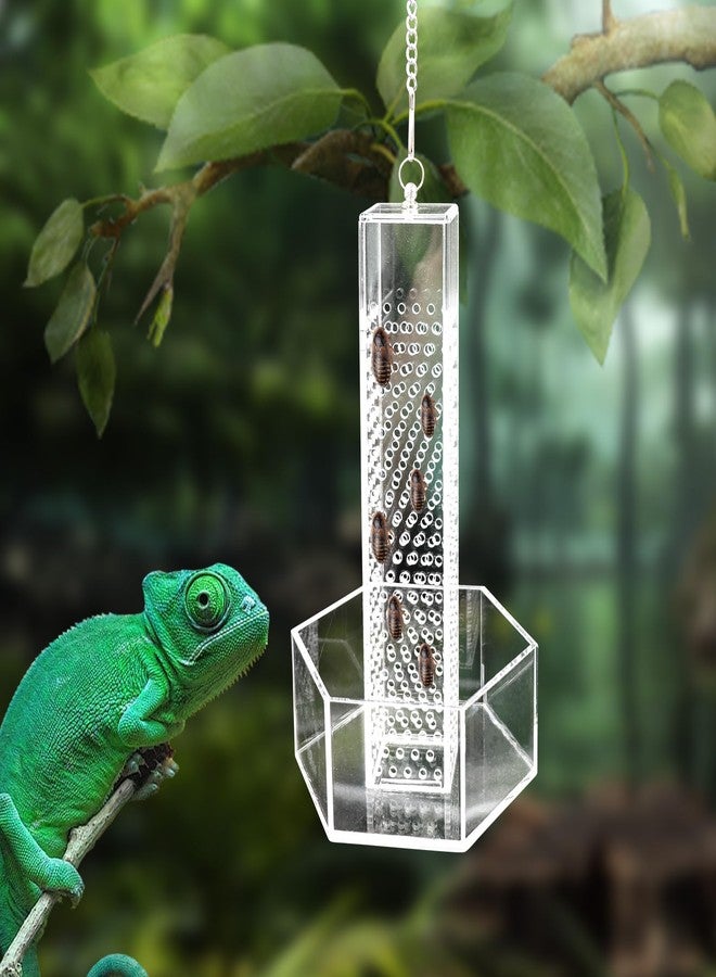 Neeenn Hookable Bearded Dragon Feeder, Chameleon Feeding Bowl, Hanging Transparent Acrylic Reptile Feeder with Column for Insects to Climb, Tank Aquarium Accessories for Lizard Lguana Gecko Toad Frog - Image 1