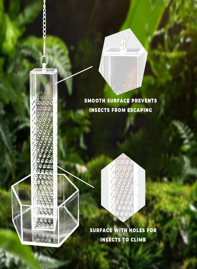 Neeenn Hookable Bearded Dragon Feeder, Chameleon Feeding Bowl, Hanging Transparent Acrylic Reptile Feeder with Column for Insects to Climb, Tank Aquarium Accessories for Lizard Lguana Gecko Toad Frog - Image 4