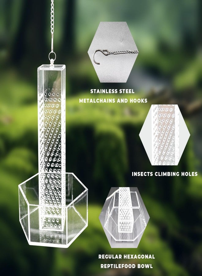 Neeenn Hookable Bearded Dragon Feeder, Chameleon Feeding Bowl, Hanging Transparent Acrylic Reptile Feeder with Column for Insects to Climb, Tank Aquarium Accessories for Lizard Lguana Gecko Toad Frog - Image 3