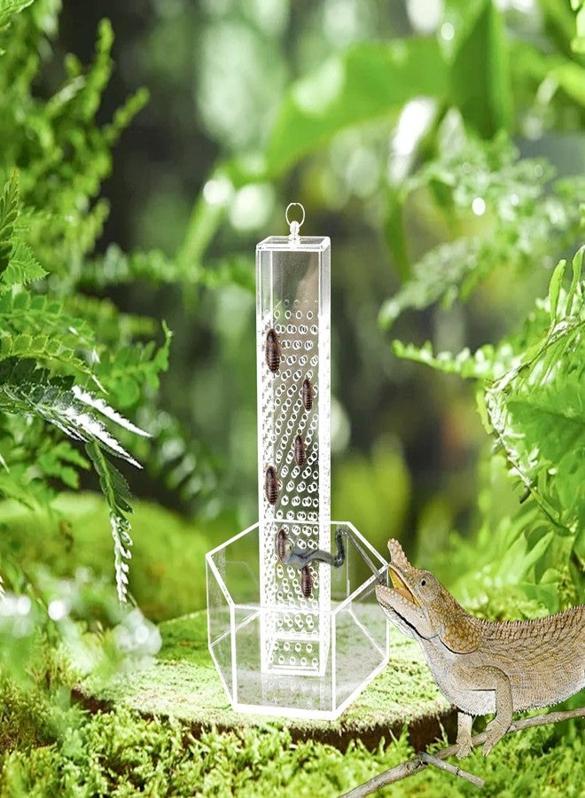Neeenn Hookable Bearded Dragon Feeder, Chameleon Feeding Bowl, Hanging Transparent Acrylic Reptile Feeder with Column for Insects to Climb, Tank Aquarium Accessories for Lizard Lguana Gecko Toad Frog - Image 2