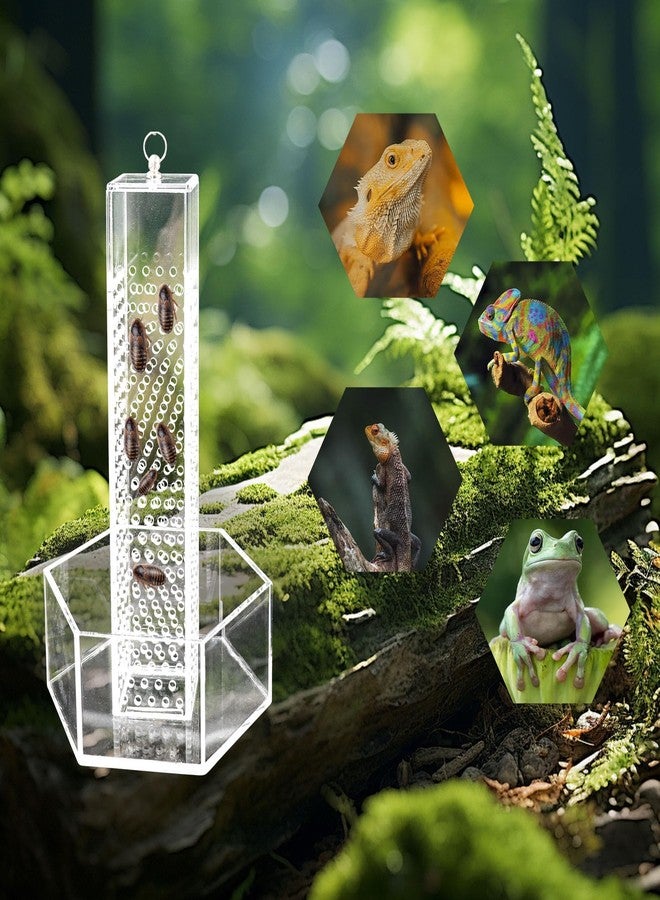 Neeenn Hookable Bearded Dragon Feeder, Chameleon Feeding Bowl, Hanging Transparent Acrylic Reptile Feeder with Column for Insects to Climb, Tank Aquarium Accessories for Lizard Lguana Gecko Toad Frog - Image 5