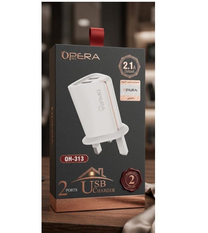 A USB charger with two ports (2 Ports) for charging two devices simultaneously.