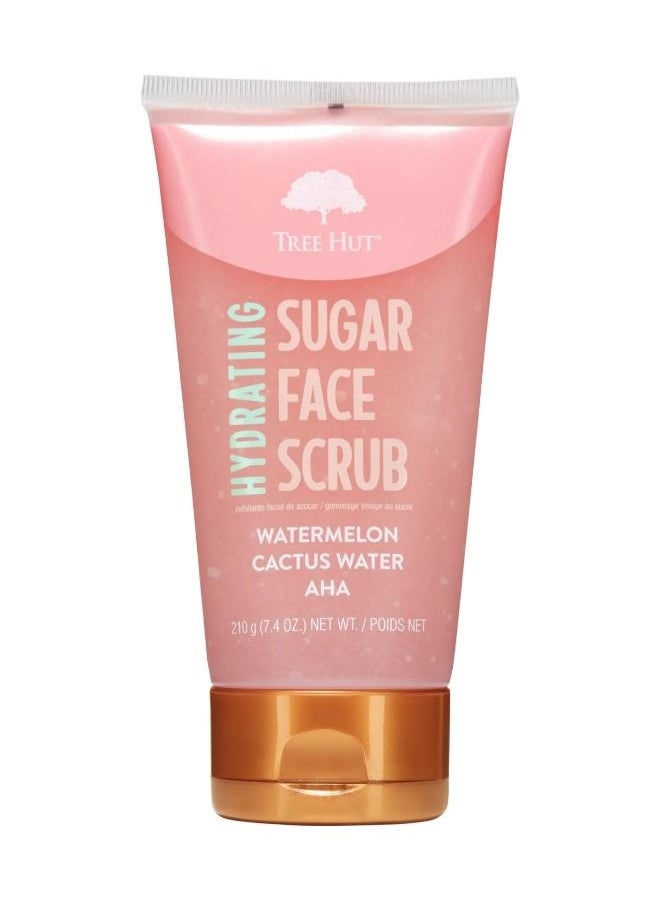 SUGAR FACE SCRUB HYDRATING WATER MEL 210G - pzsku/ZFCF7B33D89CBA63D309FZ/45/_/1689587557/fa6f9a2f-50bd-4c0b-96fb-8c46253bf7bc