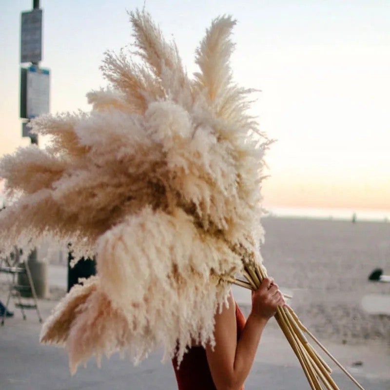 Bluejw DPG003 4ft Natural Dried Pampas Grass - Beige Large Plumes for Wedding Home Decor - Decorative Dried Plants Arrangement - Image 4
