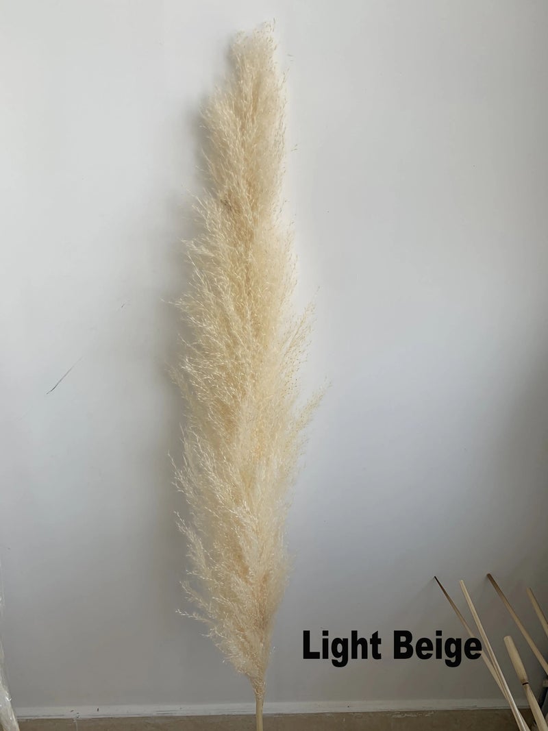 Bluejw DPG003 4ft Natural Dried Pampas Grass - Beige Large Plumes for Wedding Home Decor - Decorative Dried Plants Arrangement - Image 1